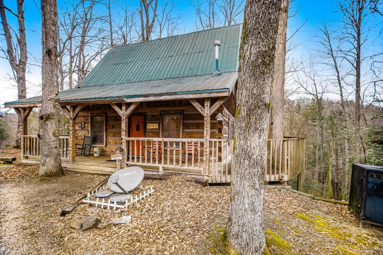 Peaceful Pines Villa Shady Grove Exterior photo